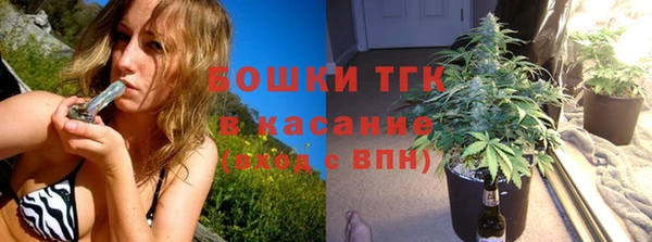 дживик Верхний Тагил